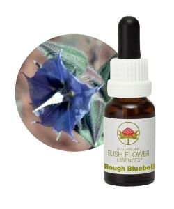 Rough Bluebell, 15 ml